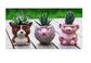 Barnyard Ceramic Succulent Planters - Set of 6