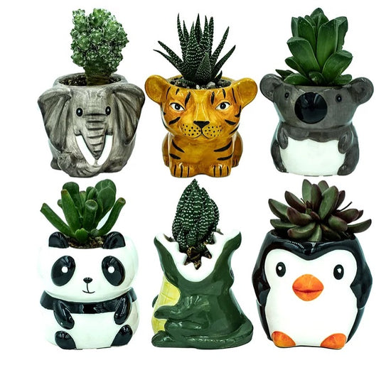 Jungle Animals Succulent Planters - Set of 6
